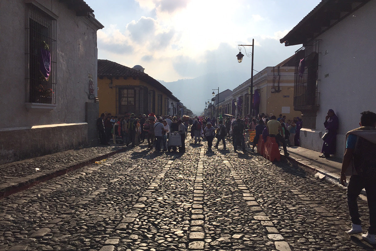 Bows Coffee Roasters