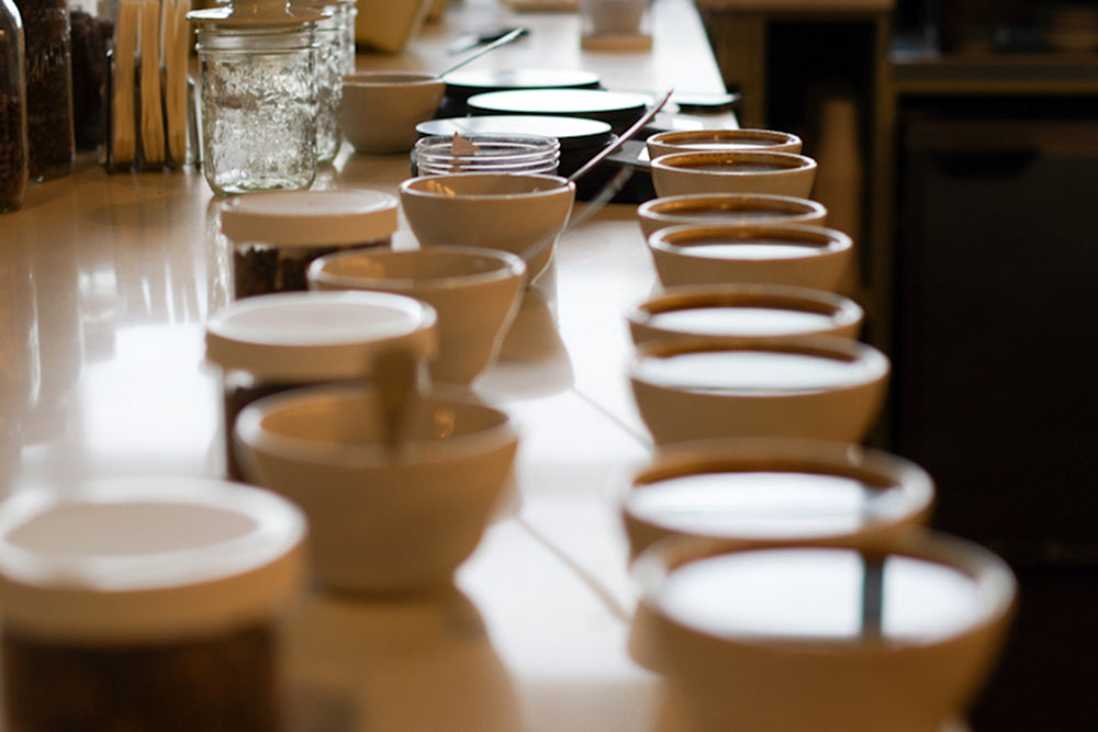 Bows Coffee Roasters